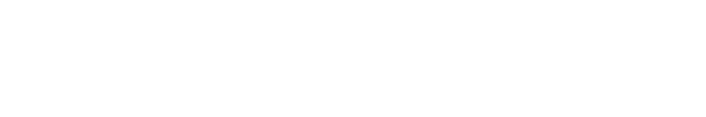 International Due Diligence Organization